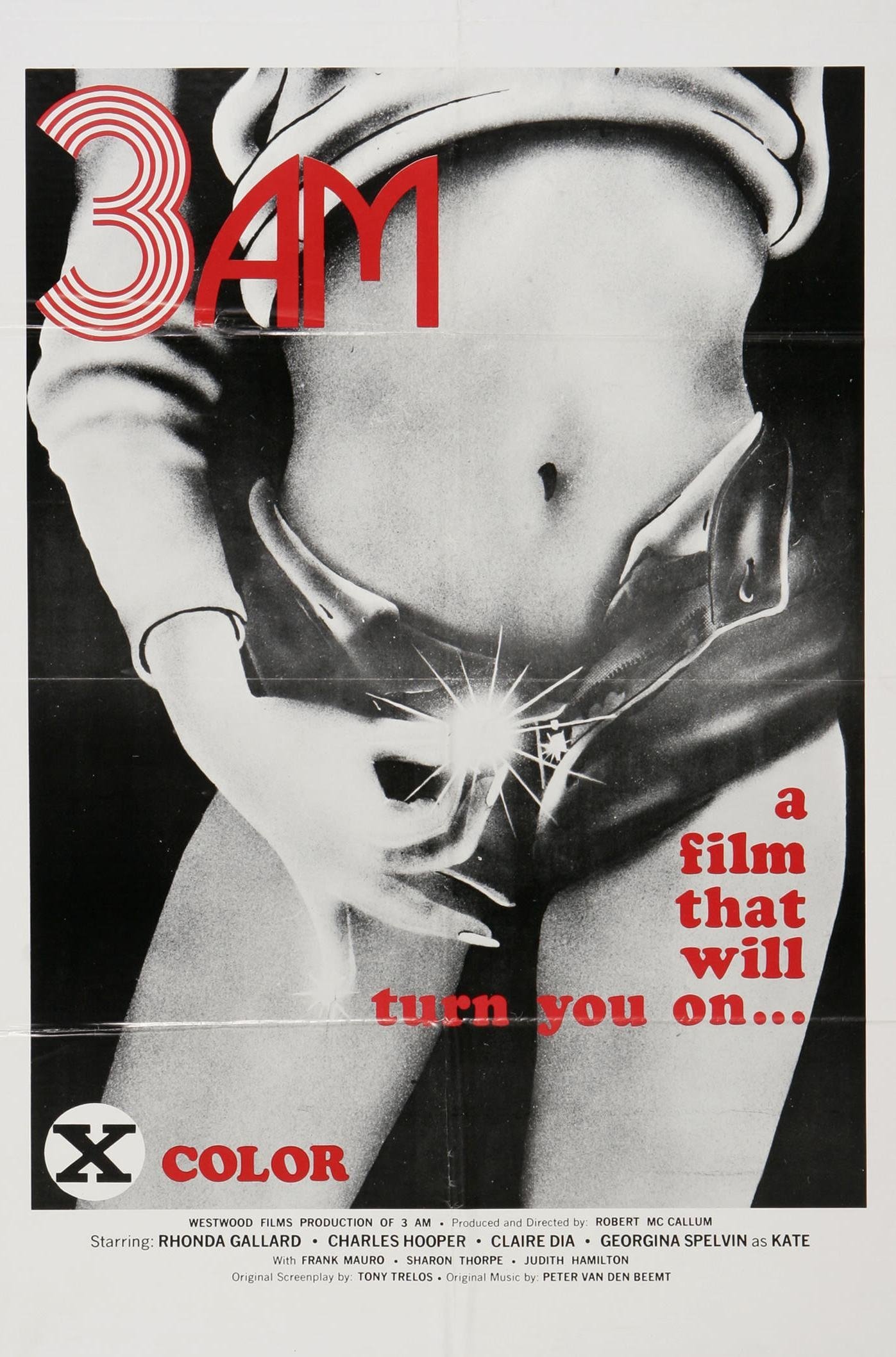 Watch Free 3 A M (1975)