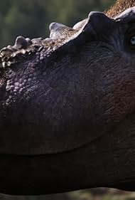 Watch Free Walking with Dinosaurs (2025-)