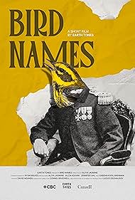 Watch Free Bird Names (2026)