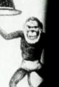 Watch Free Death Train (1993)