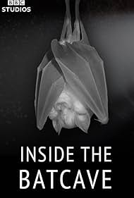 Watch Free Inside the Bat Cave (2020)