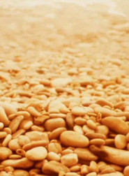 Watch Free Notes for Jerome (1978)