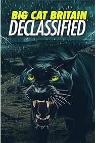 Watch Free Panthera Britannia DeclassifiedBig Cat Britain Declassified (2023)