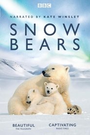 Watch Free Snow Bears (2017)