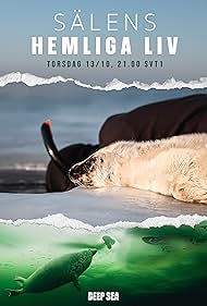 Watch Free The Secret Life of Seals (2022)