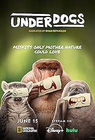 Watch Free Underdogs (2025-)