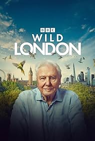 Watch Free Wild London (2026)